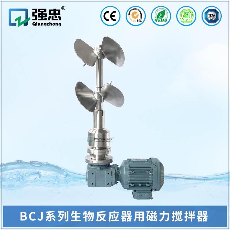 BCJ易游-中国一站式体育服务平台生物反应器用磁力搅拌器