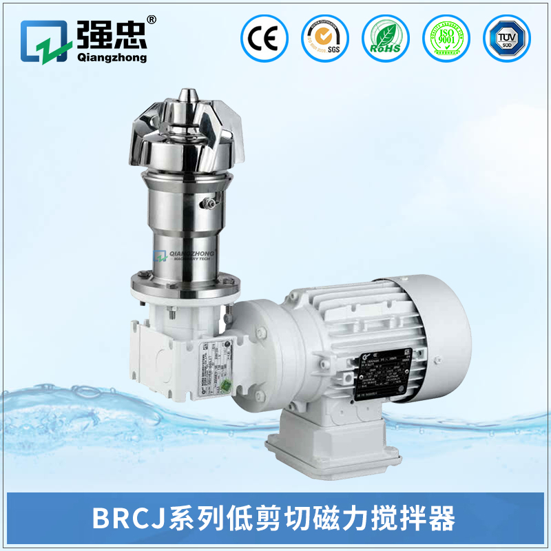 BRCJ易游-中国一站式体育服务平台低剪切磁力搅拌器